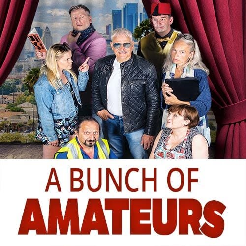 A Bunch of Amateurs by Ian Hislop & Nick Newman